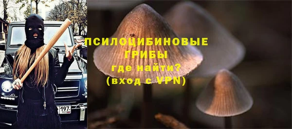 не бодяженный Горняк